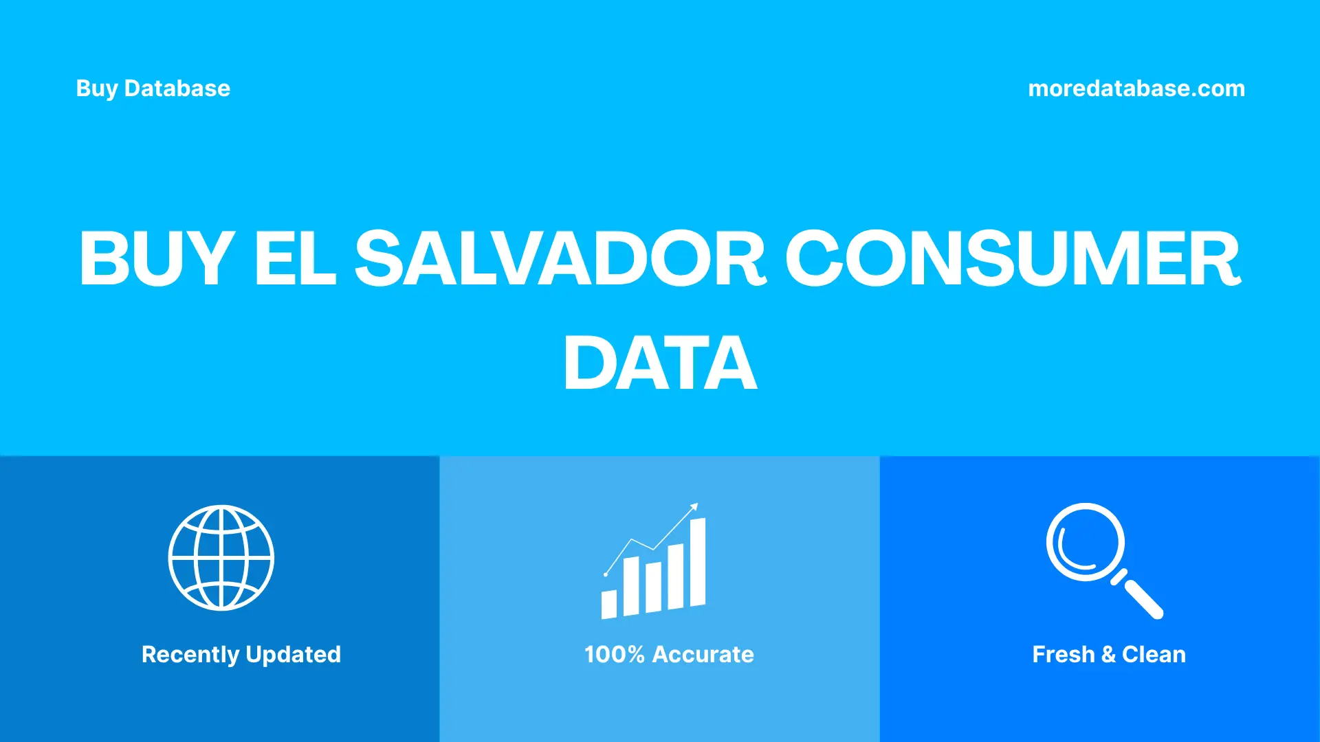 Buy El Salvador Consumer Data